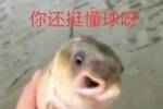 该退休了?帕金斯:莱利每年休赛期都想钓鲸鱼 最后只钓上来鲈鱼